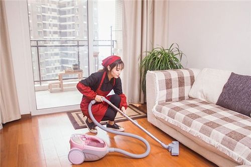 甘肅匯通博納室內(nèi)開(kāi)荒保潔工程 專業(yè)清潔與除四害服務(wù)詳解